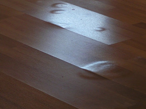 Sàn gỗ bị phồng rộp