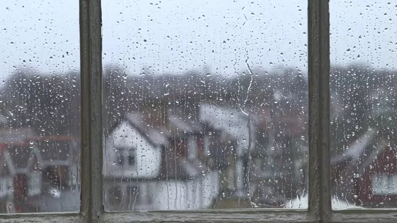 Tại sao cần bảo vệ sàn gỗ trong mùa mưa?